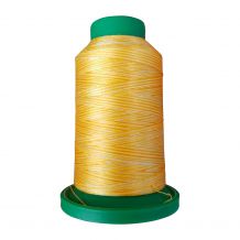 9925 Saffron Multicolor Variegated Isacord Embroidery Thread