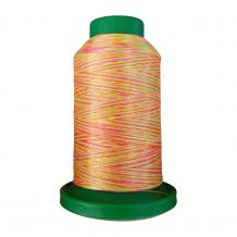 9914 Neon Brights Multicolor Variegated Isacord Embroidery Thread